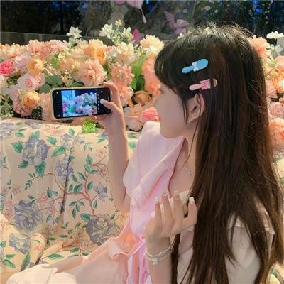 大象与小蝶物语